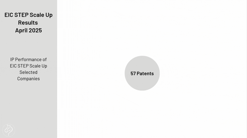 IP Performance of EIC STEP Scale Up Selected Companies